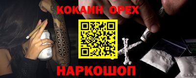 крисы Новодвинск