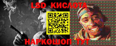 крисы Новодвинск