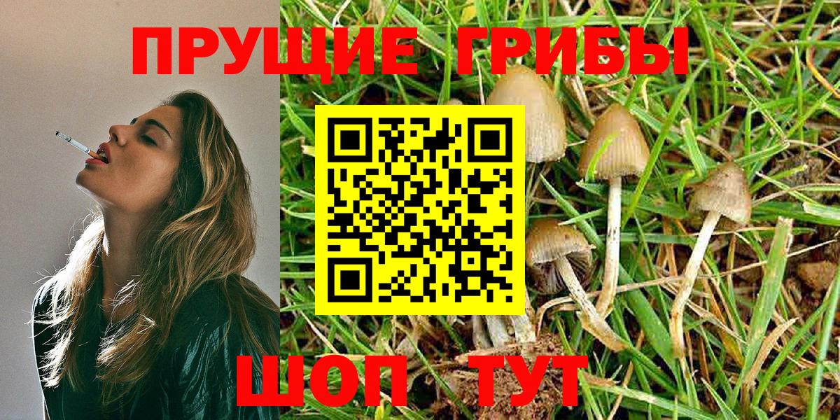 где найти   Псилоцибиновые грибы Magic Shrooms  Вход с VPN  Учалы 
