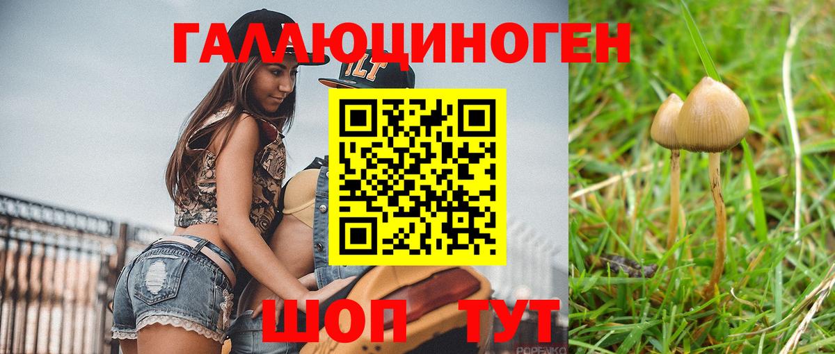 Псилоцибиновые грибы прущие грибы Учалы